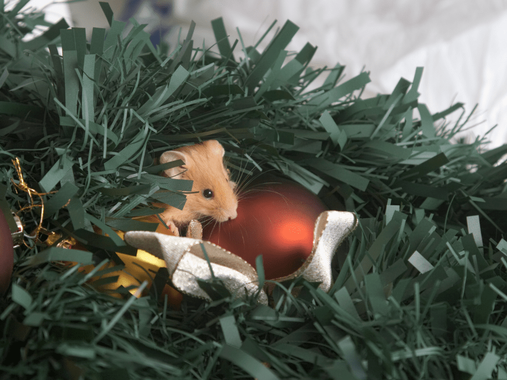 A mouse hiding in a Christmas tree